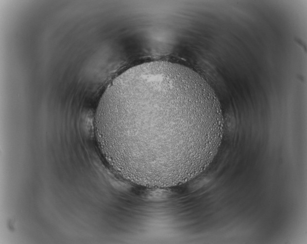 X0000103400527200809191524