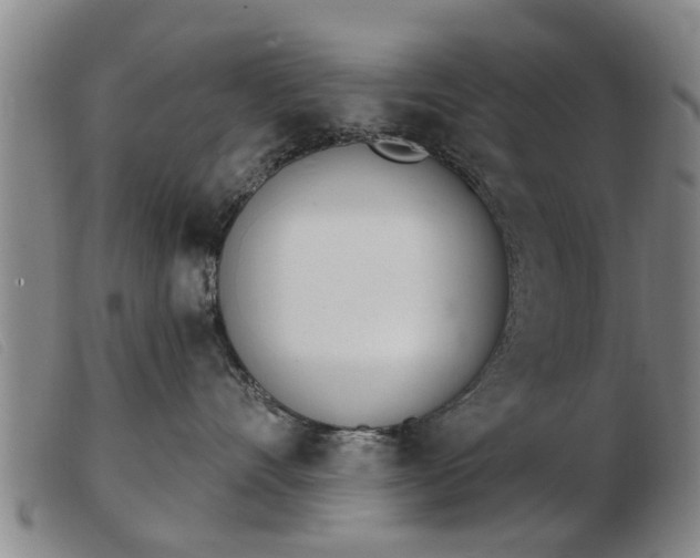 X0000103400528200809191524