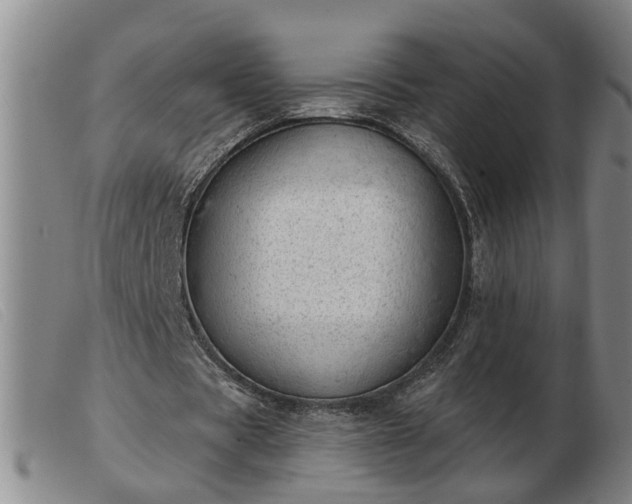 X0000103400529200809191524