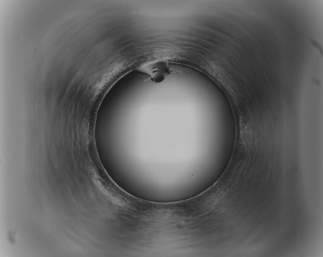 X0000103400530200809191524