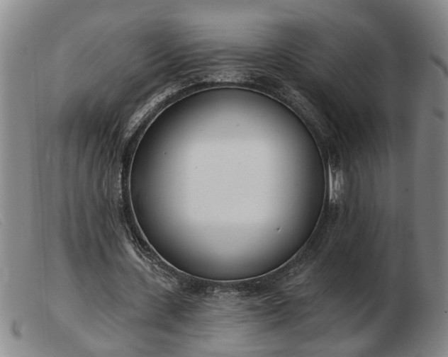 X0000103400531200809191524