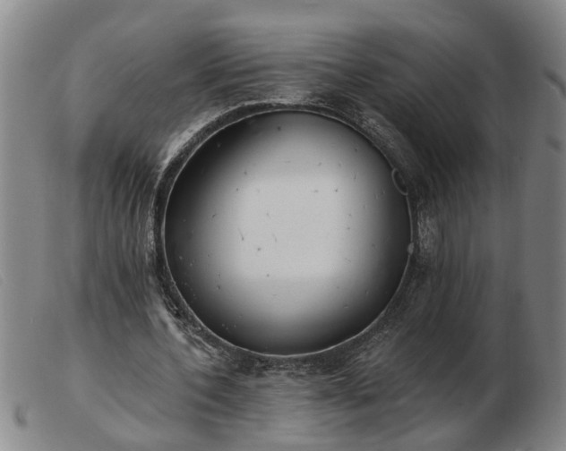 X0000103400532200809191524