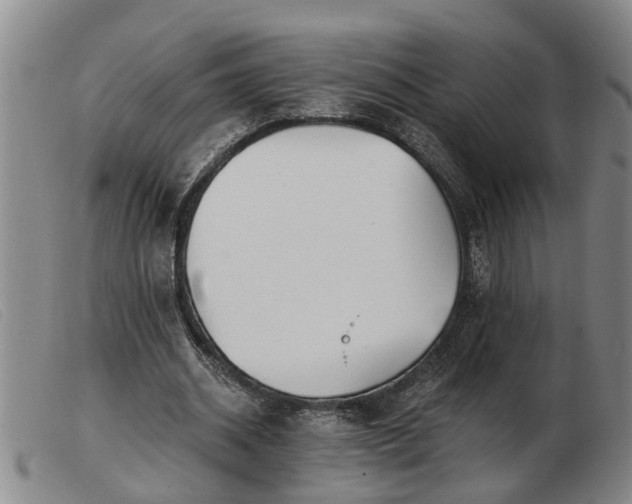 X0000103400534200809191524