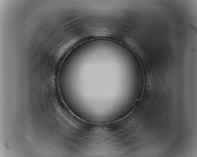 X0000103400535200809191524