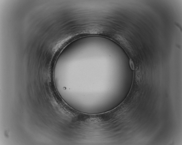 X0000103400536200809191524