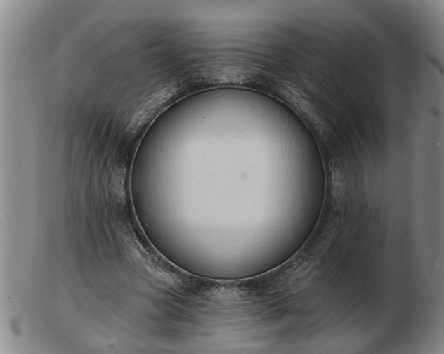 X0000103400537200809191524