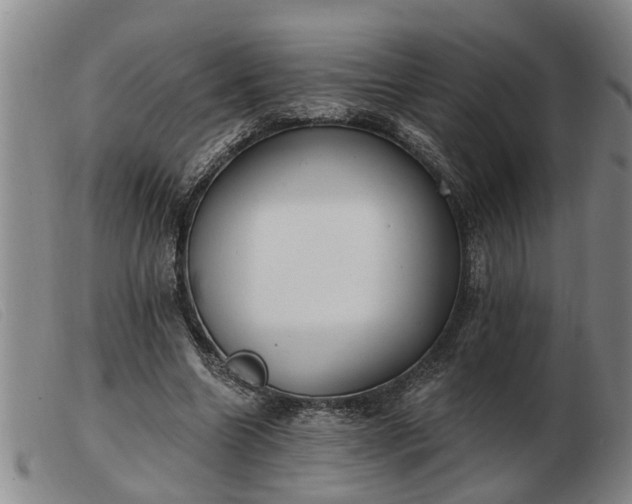 X0000103400538200809191524