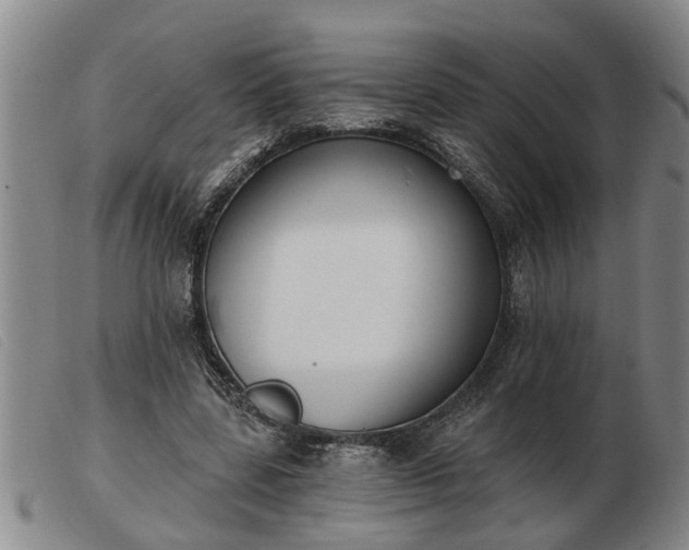 X0000103400539200809191524