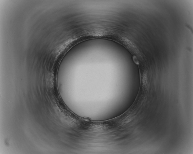 X0000103400540200809191524