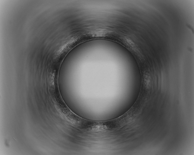 X0000103400543200809191524