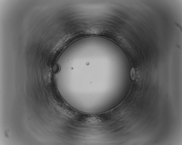 X0000103400544200809191524