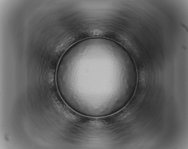 X0000103400545200809191524