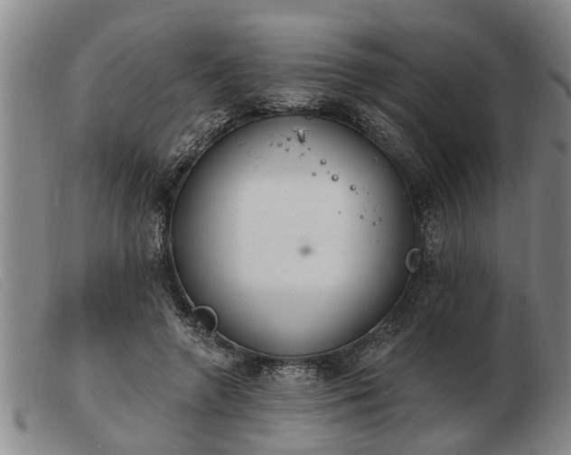 X0000103400546200809191524