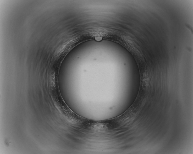 X0000103400547200809191524