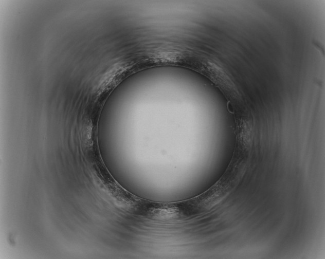 X0000103400548200809191524