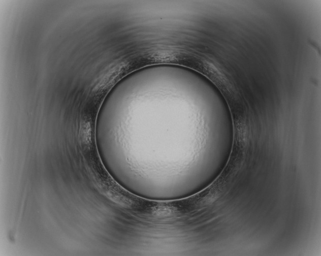 X0000103400549200809191524