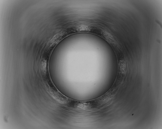 X0000103400550200809191524