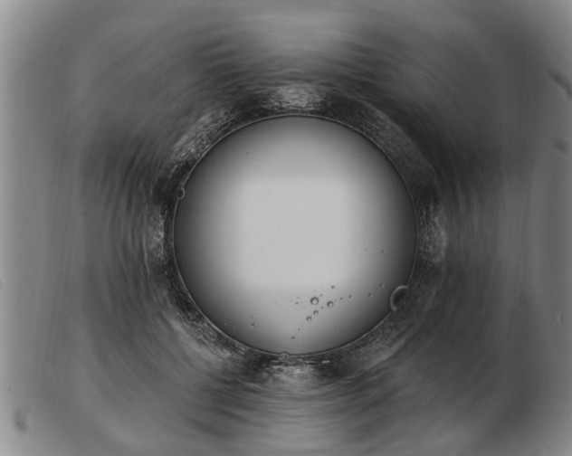 X0000103400552200809191524