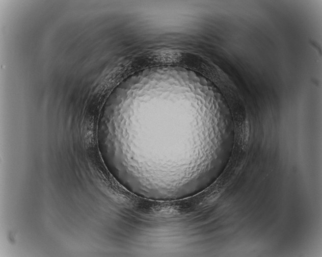 X0000103400553200809191524