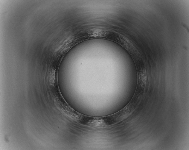 X0000103400554200809191524