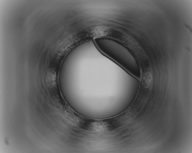 X0000103400556200809191524