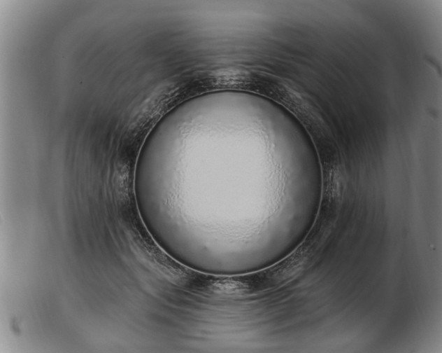 X0000103400557200809191524