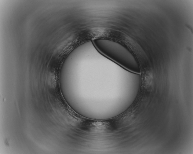 X0000103400558200809191524