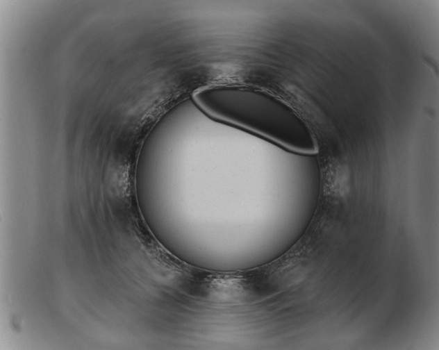 X0000103400560200809191524