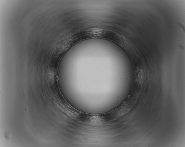 X0000103400562200809191524