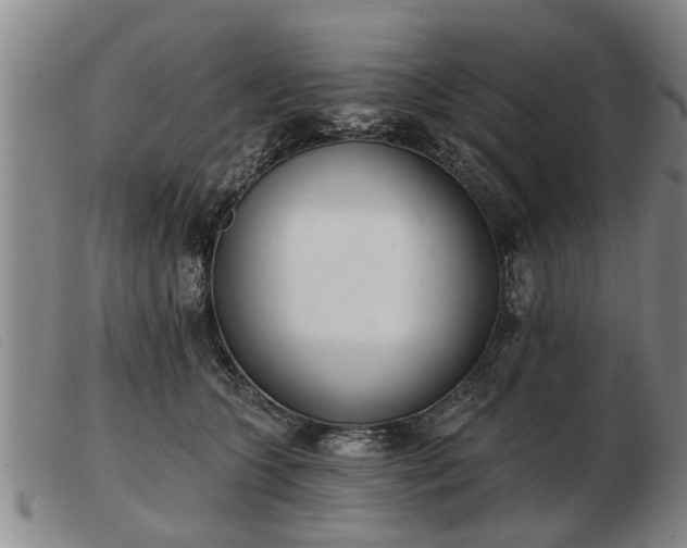 X0000103400563200809191524