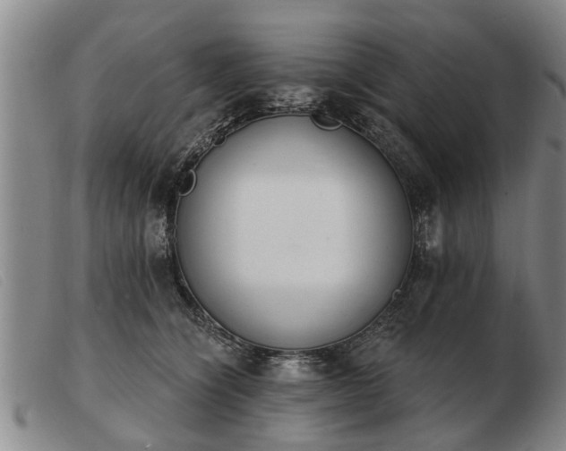 X0000103400564200809191524