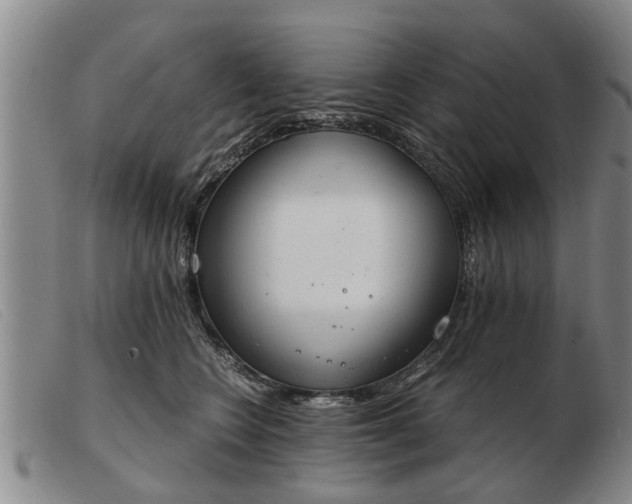 X0000103400566200809191524