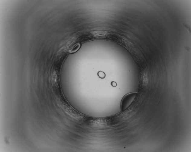 X0000103400567200809191524