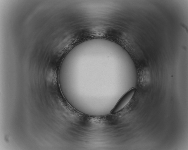 X0000103400568200809191524