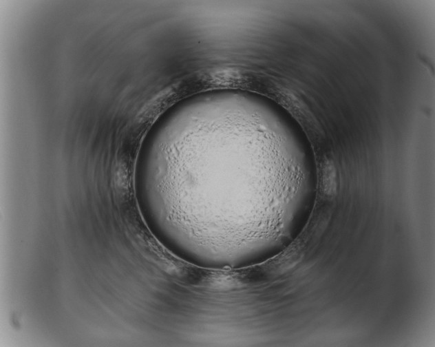 X0000103400569200809191524