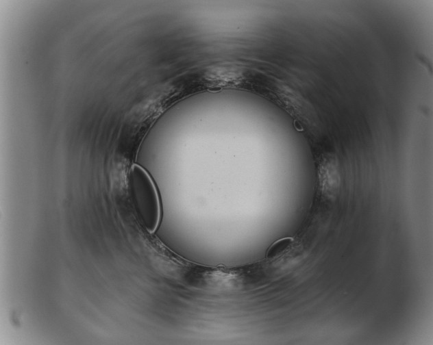 X0000103400570200809191524