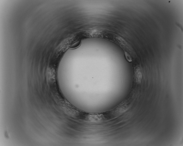 X0000103400571200809191524