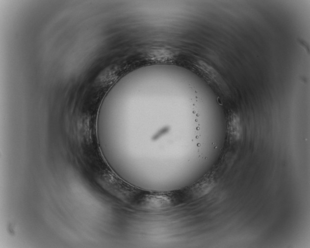 X0000103400572200809191524