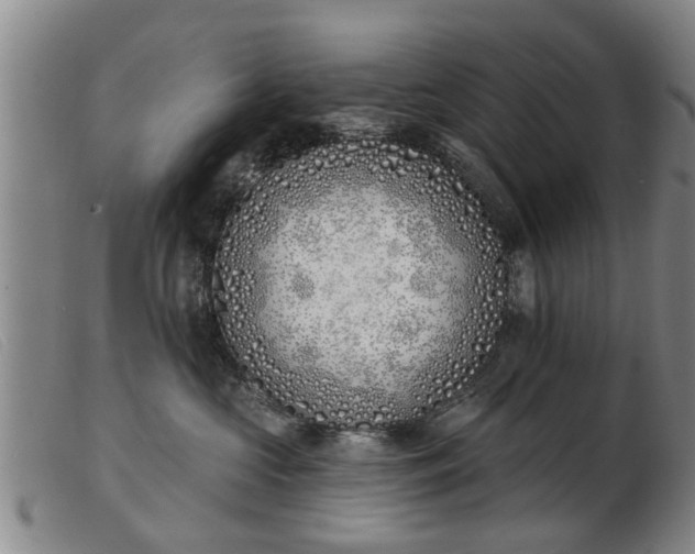 X0000103400573200809191524