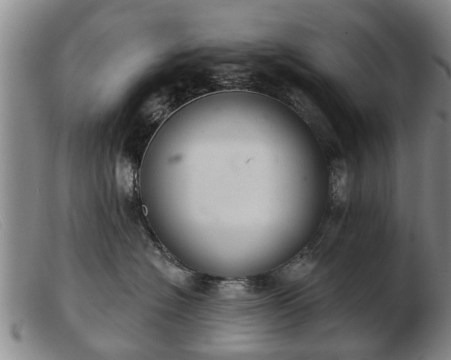 X0000103400574200809191524