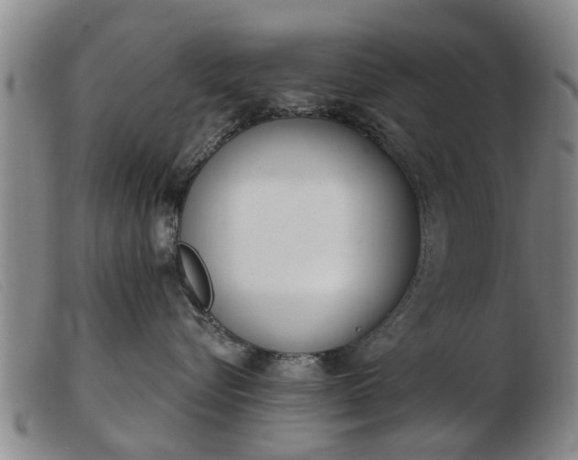 X0000103400576200809191524