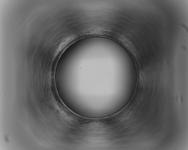 X0000103400578200809191524