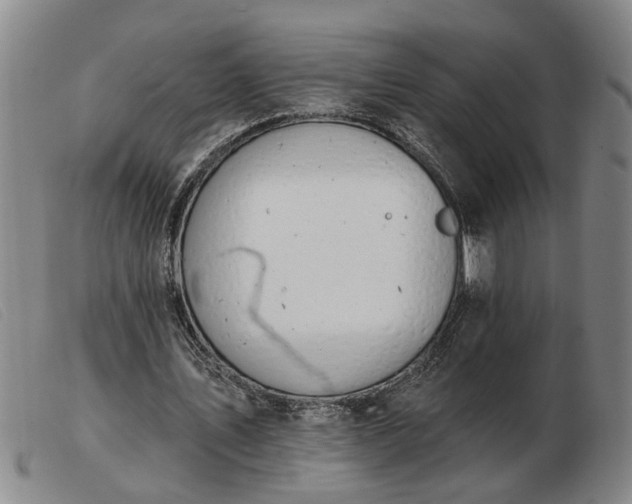 X0000103400579200809191524