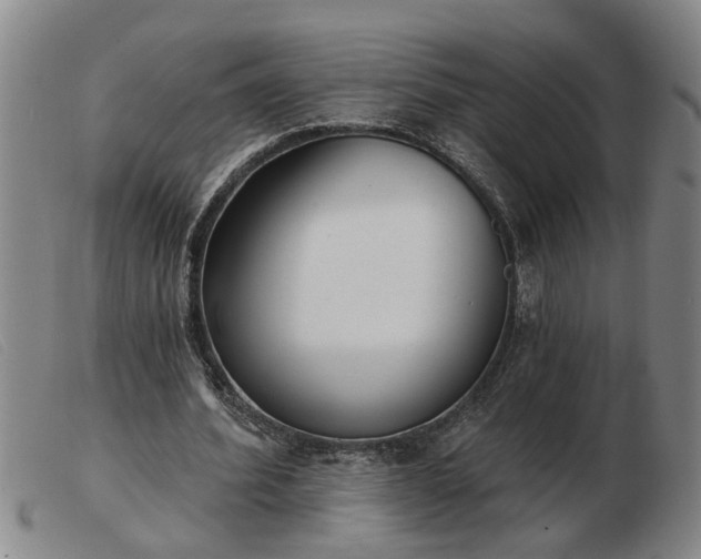 X0000103400580200809191524