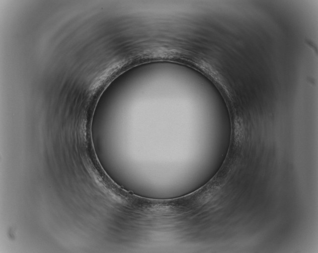 X0000103400581200809191523