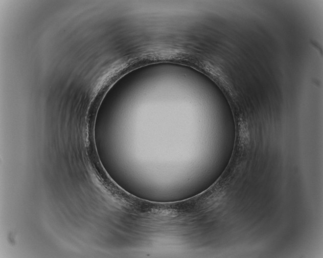 X0000103400582200809191523