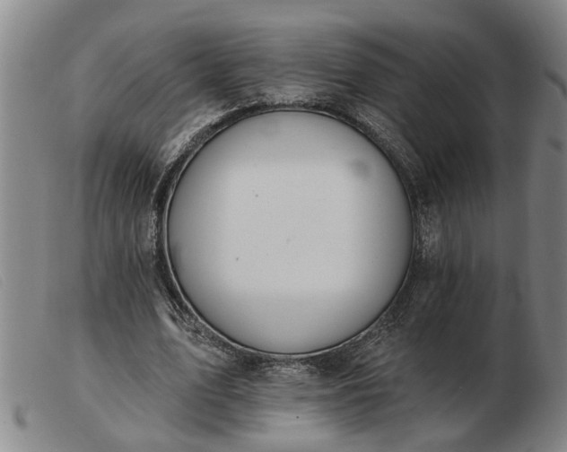 X0000103400583200809191523