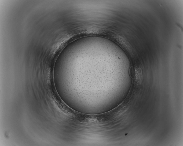 X0000103400588200809191523