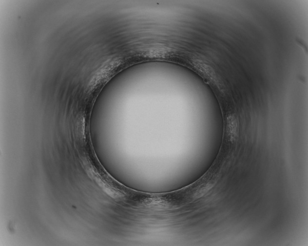 X0000103400589200809191523