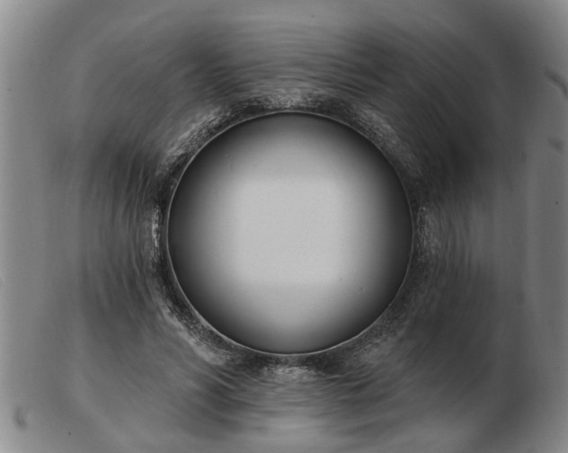 X0000103400590200809191523